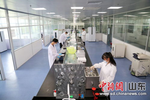 山東恒魯生物項目榮獲全國顛覆性技術創新大賽優秀獎，彰顯生物科技新動能