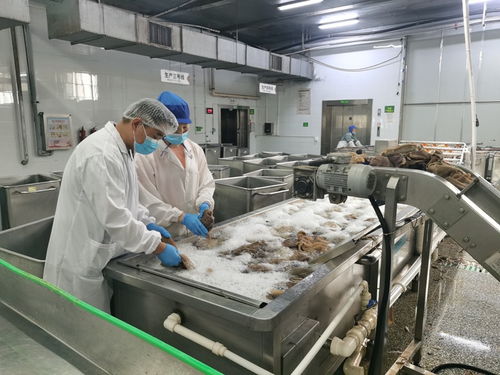 食品與生物工程學院省科技特派員前往受災企業開展生物科技精準幫扶